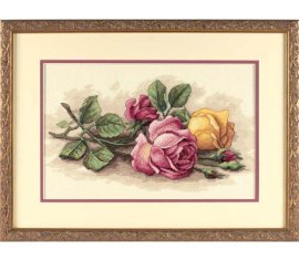 Rose Cuttings 13720 DIMENSIONS