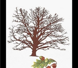 Oak Tree / Дуб T831 Thea Gouverneur - Салон рукоділля