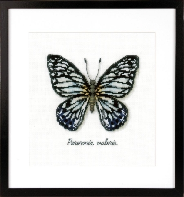 Блакитний метелик PN-0165403 Vervaco вишивка хрестом | набір | Купити - Салон рукоділля - Давайте створимо шедевр разом! 