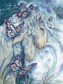 Together We Are Magic LETI 950 Luca-S вышивка крестом | Набор | Купить - Салон рукоделия — Давайте создадим шедевр вместе!