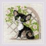Cornish Rex Kitten 2121 РІОЛІС вишивка хрестиком | Набір | Купити - Салон рукоділля