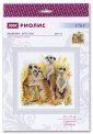 Сурикаты 1761 РИОЛИС