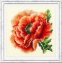 Мак 150-012 Чудесная игла