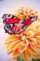 FLUTTERING BUTTERFLY PN-0190703 LanArte набор