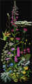 Wild Flowers / Польові квіти T821.05 Thea Gouverneur - Салон рукоділля