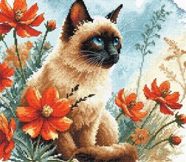 The Cat's Garden P172 AVA - Набір для вишивання хрестиком - купити в Україні | Салон рукоділля