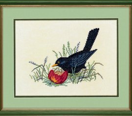 Black bird & apple \ Черная птица и яблоко 12-983 Eva Rosenstand