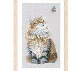 Forest cat PN-0171041 LanArte