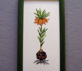 KEJSERKRONE 73-33043 Oehlenschlägers