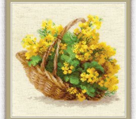 Немецкий рапс 1502 РИОЛИС