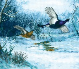 Flight over the silvery stream M-428 Charivna Mit