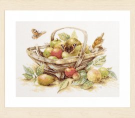Summerfruit PN-0007960 LanArte