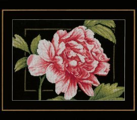 PINK ROSE PN-0155749 LanArte
