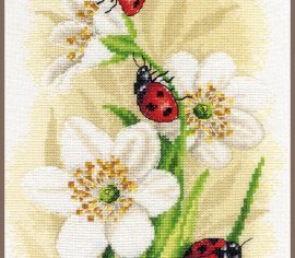 LADYBUG PARADE PN-0190657 LanArte