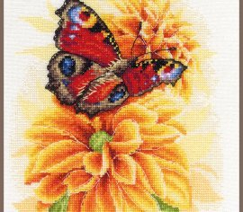 FLUTTERING BUTTERFLY PN-0190703 LanArte