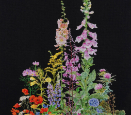 American Wild Flowers / Американські польові квіти T554.05 Thea Gouverneur - Салон рукоділля