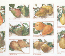 Pears / Груші T2097 Thea Gouverneur - Салон рукоділля></noscript>

</a>
</div>
          </div>
  
                <div class=