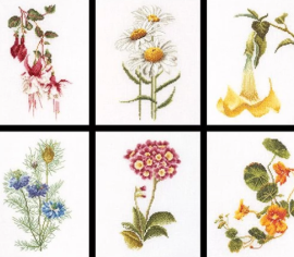 Six Floral Studies / Шість досліджень квітів T3084A Thea Gouverneur - Салон рукоділля