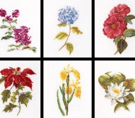 Six Floral Studies / Шість досліджень квітів T3087A Thea Gouverneur - Салон рукоділля