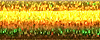 Металізована нитка Fine #8 Braid (028L) 10м B8-028L Kreinik | Купити - Салон рукоділля