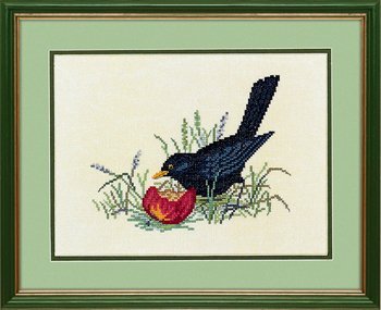 Black bird & apple \ Черная птица и яблоко 12-983 Eva Rosenstand