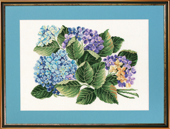 Hydrangea 14-259 Eva Rosenstand