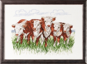 (Hereford cows 70-7432 Permin