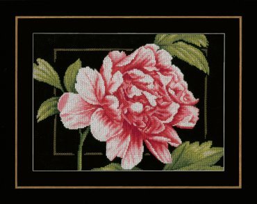 PINK ROSE PN-0155749 LanArte