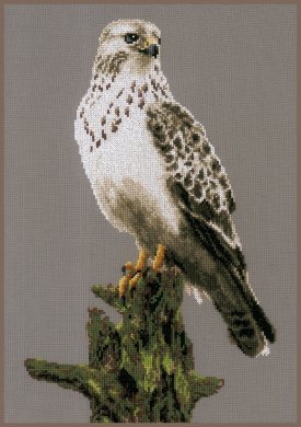 СОКОЛ PN-0172743 LanArte