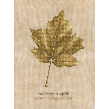 Norway Maple Клен Норвезький HC749 Heritage Crafts - Салон рукоділля 