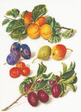 Peaches & Plums / Персики та сливи T3062 Thea Gouverneur - Салон рукоділля
