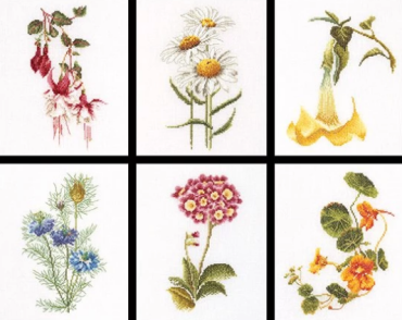 Six Floral Studies / Шість досліджень квітів T3084A Thea Gouverneur - Салон рукоділля