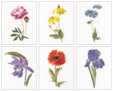 Six Floral Studies / Шість досліджень квітів T3085A Thea Gouverneur - Салон рукоділля