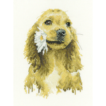 Кокер спаніель з ромашкою / Daisy Cocker Spaniel H1896 Heritage Crafts - Салон рукоділля 